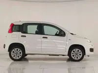 Usata Fiat Panda Easy 80 CV (58 kW) 2018 Bianco gelato Utilitaria