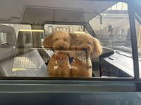 Usata VW Caravelle 95 CV (69 kW) 1989 Blu/azzurro Furgone