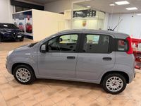 Usata Fiat Panda Lounge 69 CV (50 kW) 2018 Grigio Utilitaria