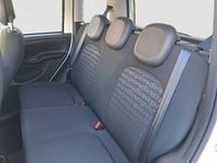 Usata Fiat Panda Cross Cross 69 CV (50 kW) 2025 Bianco Utilitaria