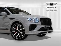 Nuova Bentley Bentayga 650 CV (478 kW) 2026 Cambrian grey SUV