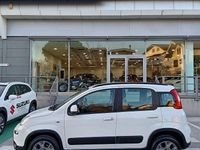 Usata Fiat Panda 4x4 75 CV (55 kW) 2014 Bianco Utilitaria