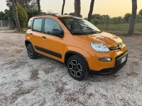 Usata Fiat Panda Cross Cross 80 CV (58 kW) 2021 Arancione Utilitaria