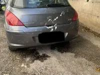Usata Peugeot 308 Premium 90 CV (66 kW) 2007 Utilitaria