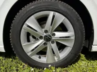 Usata VW Golf VIII Life 116 CV (85 kW) 2023 Bianco Berlina