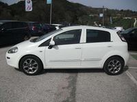 Usata Fiat Punto Lounge 84 CV (61 kW) 2015 Bianco Utilitaria