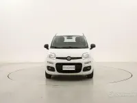 Usata Fiat Panda 69 CV (50 kW) 2020 Bianco Utilitaria