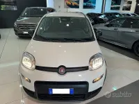 Usata Fiat Panda S 69 CV (50 kW) 2024 Bianco pastello Utilitaria