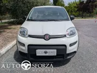 Usata Fiat Panda 69 CV (50 kW) 2023 Bianco Utilitaria