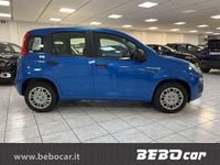 Usata Fiat Panda Icon 69 CV (50 kW) 2024 Blu Berlina