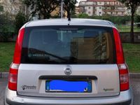 Usata Fiat Panda 60 CV (44 kW) 2008 Grigio Utilitaria