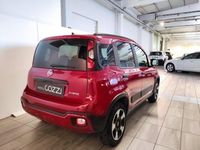 usata Fiat Panda Cross Panda 3ª serie - 1.0 FireFly S&S Hybrid