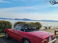 Usata Alfa Romeo Spider Veloce 128 CV (94 kW) 1980 Cabrio