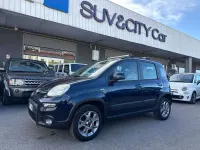 Usata Fiat Panda 4x4 75 CV (55 kW) 2013 Blu/azzurro Utilitaria