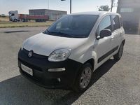 Usata Fiat Panda 4x4 80 CV (58 kW) 2016 Bianco pastello Utilitaria