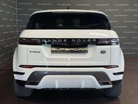 Usata Land Rover Range Rover evoque R-Dynamic 163 CV (119 kW) 2022 Bianco SUV