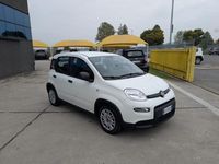 Usata Fiat Panda Comfort 69 CV (50 kW) 2023 Bianco / pastello Utilitaria