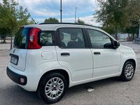 Usata Fiat Panda 2013 Bianco Utilitaria