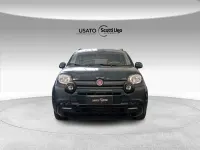 Usata Fiat Panda Cross Cross 69 CV (50 kW) 2025 Verde foresta (metallizzato) Utilitaria