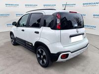 Usata Fiat Panda Cross Cross 70 CV (51 kW) 2025 Bianco Utilitaria