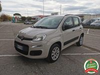 Usata Fiat Panda Easy 2013 Beige Utilitaria