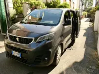 Usata Peugeot Expert 116 CV (85 kW) 2017 Furgone