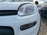 Usata Fiat Panda S 69 CV (50 kW) 2023 Bianco Utilitaria