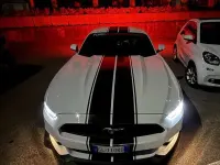 Usata Ford Mustang Fastback 317 CV (233 kW) 2017 Coupé