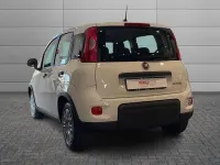 Usata Fiat Panda S 69 CV (50 kW) 2024 Bianco Utilitaria