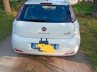 Usata Fiat Punto Evo 85 CV (62 kW) 2013 Bianco Utilitaria
