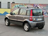 Usata Fiat Panda 4x4 Climbing 69 CV (50 kW) 2010 Grigio Utilitaria