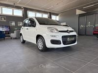 Nuova Fiat Panda 69 CV (50 kW) 2025 Bianco Berlina
