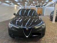 usata Alfa Romeo Stelvio 2.2 Turbodiesel 160 CV AT8 RWD