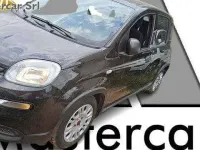 Usata Fiat Panda 69 CV (50 kW) 2023 Argento Utilitaria