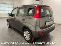 Usata Fiat Panda Easy 69 CV (50 kW) 2018 Grigio Berlina