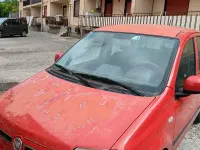 Usata Fiat Panda 70 CV (51 kW) 2011 Utilitaria
