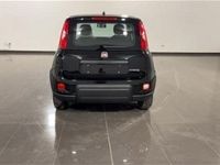 usata Fiat Panda 1.0 FireFly S&S Hybrid Launch Edition nuovo