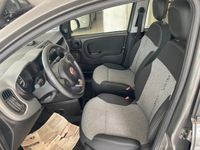 usata Fiat Panda 3ª serie 1.2 Lounge