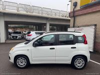 Usata Fiat Panda Lounge 75 CV (55 kW) 2013 Bianco Berlina