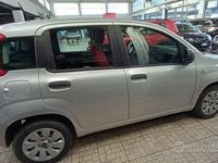 Usata Fiat Panda Pop 69 CV (50 kW) 2020 Grigio Berlina