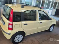 Usata Fiat Panda 60 CV (44 kW) 2009 Giallo Utilitaria