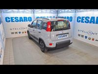 Usata Fiat Panda City Life 70 CV (51 kW) 2022 Grigio Utilitaria