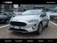 Gebraucht Ford Fiesta Active 100 PS (73 kW) 2019 Grau Kleinwagen