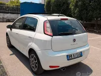 Usata Fiat Punto Lounge 85 CV (62 kW) 2015 Bianco Utilitaria