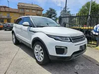 Usata Land Rover Range Rover evoque 150 CV (110 kW) 2016 Bianco SUV