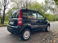 usata Fiat Panda 4x4 1.2 Climbing