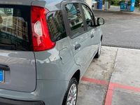Usata Fiat Panda 2018 Grigio Utilitaria