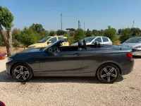 Usata BMW 218 Advantage 150 CV (110 kW) 2016 Grigio Cabrio