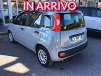 Usata Fiat Panda 69 CV (50 kW) 2022 Grigio Utilitaria
