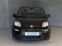 Usata Fiat Panda City Life 69 CV (50 kW) 2023 Nero Utilitaria